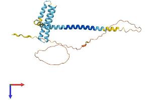 REEP3 Protein (AA 1-254) (His tag)
