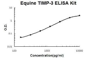 Horse equine TIMP-3 PicoKine ELISA Kit standard curve (TIMP3 ELISA Kit)