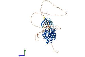 Protein Structure (PS) image for Cyclin Dependent Kinase Like 2 (CDKL2) (AA 1-493) protein (His tag) (ABIN7553162)