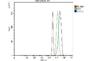Flow Cytometry analysis of HepG2 cells using anti-TTC7B antibody (ABIN7601050). (TTC7B Antikörper  (AA 275-730))