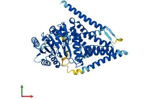 Protein Structure (PS) image for Hyaluronan Synthase 2 (HAS2) (AA 1-552) protein (His tag) (ABIN7554128)
