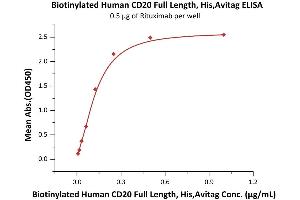 ELISA image for Membrane-Spanning 4-Domains, Subfamily A, Member 1 (MS4A1) (AA 1-297) (Active) protein (His tag,AVI tag,Biotin) (ABIN7013417)