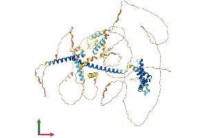 AlphaFold protein structure predicition of Human Recombinant MLXIPL Protein, UniprotID Q9NP71