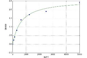 A typical standard curve