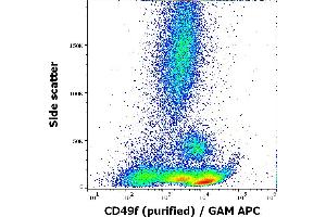 Flow cytometry surface staining pattern of human peripheral whole blood stained using anti-human CD49f (GoH3) purified antibody (concentration in sample 1,7 μg/mL, GAM APC). (ITGA6 Antikörper)