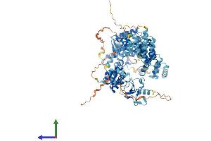 Protein Structure (PS) image for Exonuclease 3'-5' Domain Containing 3 (EXD3) (AA 1-876) protein (His tag) (ABIN7549610)