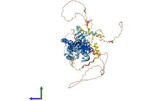 AlphaFold protein structure predicition of Mouse Recombinant Rhbdf2 Protein, UniprotID Q80WQ6