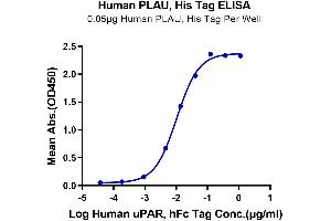 Immobilized Human PLAU, His Tag at 0. (PLAU Protein (AA 21-431) (His tag))