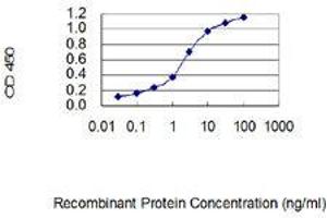 Detection limit for recombinant GST tagged CLECL1 is 0. (CLECL1 Antikörper  (AA 82-167))