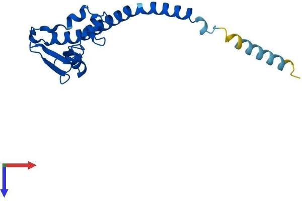 RSL24D1 Protein (AA 1-163) (His tag)