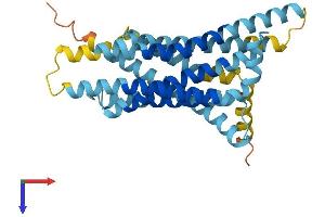 TAS2R60 Protein (AA 1-318) (His tag)