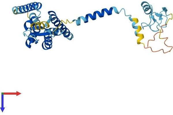 PEX2 Protein (AA 1-305) (His tag)
