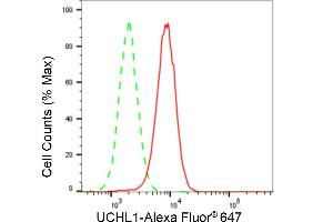 Flow cytometric analysis of UCHL1 expression in HAP-1 cells using UCHL1 antibody (ABIN7800707), 1:2,000).