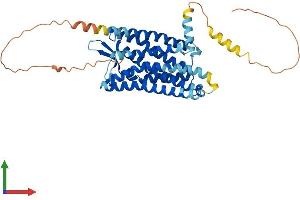 Protein Structure (PS) image for Somatostatin Receptor 1 (SSTR1) (AA 1-391) protein (His tag) (ABIN7546359)