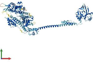 Protein Structure (PS) image for Myosin IG (MYO1G) (AA 1-1018) protein (His tag) (ABIN7554682)