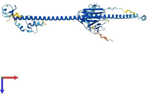 TRIM50 Protein (AA 1-487) (His tag)