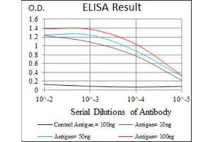 ELISA image for anti-Heat Shock Transcription Factor 4 (HSF4) antibody (ABIN1843863) (HSF4 Antikörper)