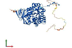 Protein Structure (PS) image for Dihydropyrimidinase-Like 2 (DPYSL2) (AA 1-572) protein (His tag) (ABIN7562166)