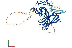 Protein Structure (PS) image for Polymerase (DNA-Directed), delta Interacting Protein 2 (POLDIP2) (AA 1-368) protein (His tag) (ABIN7559982)