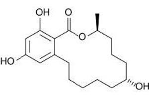 Antigen structure: Zearalenone (ZON) (Zearalenone Antikörper)