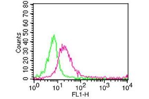 Flow Cytometry (FACS) image for anti-Membrane Metallo-Endopeptidase (MME) antibody (FITC) (ABIN5027762) (MME Antikörper  (FITC))