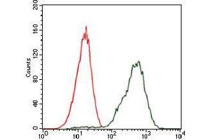 Flow cytometric analysis of Jurkat cells using PDX1 mouse mAb (green) and negative control (red). (PDX1 Antikörper)