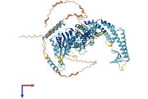 MSH4 Protein (AA 1-936) (His tag)