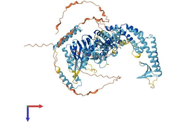MSH4 Protein (AA 1-936) (His tag)