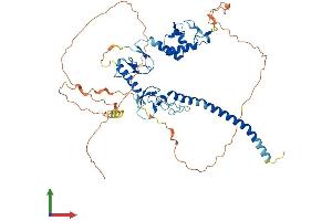 Protein Structure (PS) image for Ring Finger Protein 217 (RNF217) (AA 1-515) protein (His tag) (ABIN7562095)