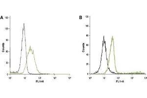 Flow Cytometry (FACS) image for anti-ORAI Calcium Release-Activated Calcium Modulator 1 (ORAI1) (AA 203-214), (Extracellular) antibody (ABIN7043412)