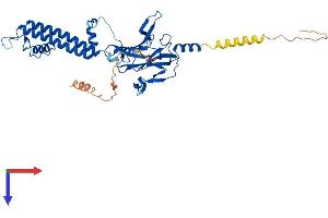 KCNJ6 Protein (AA 1-425) (His tag)