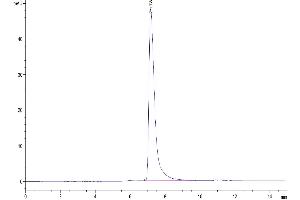 Size-exclusion chromatography-High Pressure Liquid Chromatography (SEC-HPLC) image for Platelet/endothelial Cell Adhesion Molecule (PECAM1) (AA 28-601) protein (His tag) (ABIN7274140)