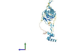 Protein Structure (PS) image for NSFL1 (p97) Cofactor (p47) (NSFL1C) (AA 1-370) protein (His tag) (ABIN7549960)