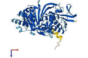 GDI1 Protein (AA 1-447) (His tag)
