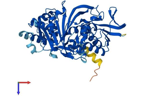 GDI1 Protein (AA 1-447) (His tag)