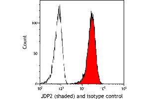Flow Cytometry (FACS) image for anti-Jun Dimerization Protein 2 (JDP2) (AA 50-100) antibody (ABIN7795635) (Rekombinanter JDP2 Antikörper  (AA 50-100))