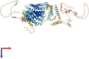 SLC9A1 Protein (AA 1-820) (His tag)