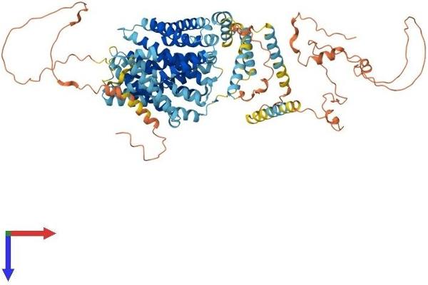 SLC9A1 Protein (AA 1-820) (His tag)