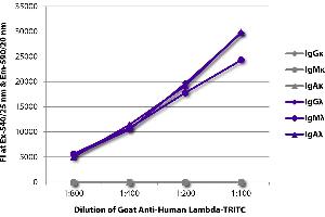 FLISA plate was coated with purified human IgGκ, IgMκ, IgAκ, IgGλ, IgMλ, and IgAλ. (Ziege anti-Human Ig (Chain lambda) Antikörper (TRITC))