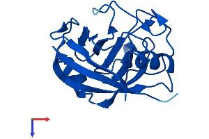 AlphaFold protein structure predicition of Human Recombinant PPIAL4F Protein, UniprotID P0DN26