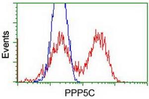 Image no. 2 for anti-Protein Phosphatase 5, Catalytic Subunit (PPP5C) antibody (ABIN1500388) (PP5 Antikörper)