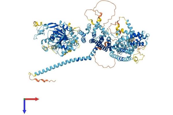TRPM4 Protein (AA 1-1214) (His tag)