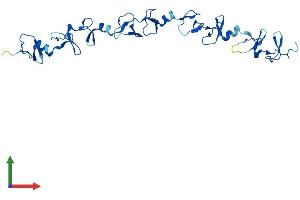 Protein Structure (PS) image for Four and A Half LIM Domains 2 (FHL2) (AA 1-279) protein (His tag) (ABIN7562547)