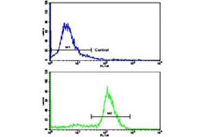 Flow cytometric analysis of ATDC5 cells using ALDH5A1 polyclonal antibody (bottom histogram) compared to a negative control cell (top histogram). (ALDH5A1 Antikörper  (N-Term))