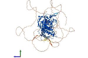 Protein Structure (PS) image for PARG (PARG) (AA 1-976) protein (His tag) (ABIN7554892)