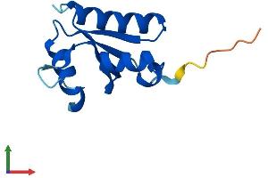 AlphaFold protein structure predicition of Human Recombinant SH3BGRL2 Protein, UniprotID Q9UJC5