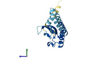 Protein Structure (PS) image for Cysteine-Rich Hydrophobic Domain 2 (CHIC2) (AA 1-165) protein (His tag) (ABIN7561168)