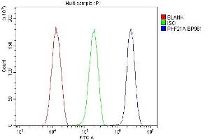 Flow Cytometry analysis of HeLa cells using anti-PHF21A antibody (ABIN6719353).