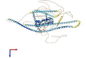 PPFIA4 Protein (AA 1-1185) (His tag)