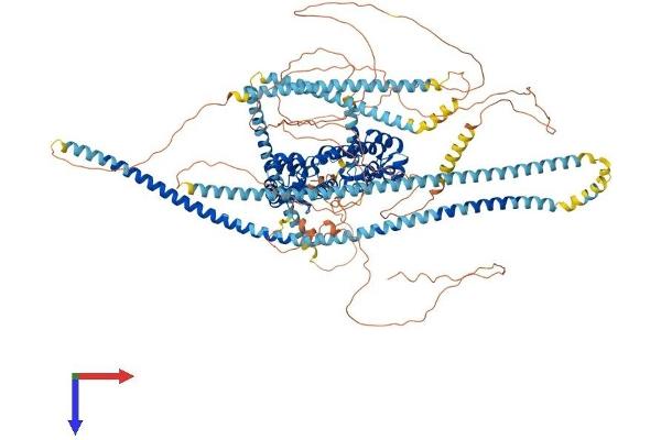 PPFIA4 Protein (AA 1-1185) (His tag)